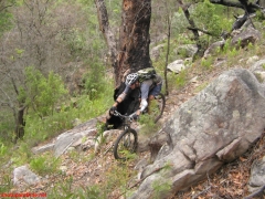 20070114-Coba 318 